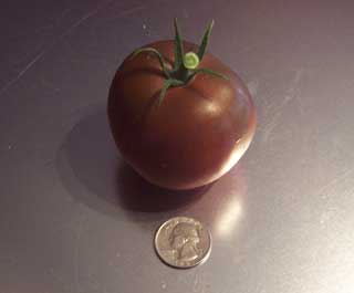 Black Ethiopian Tomato