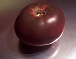 Sara Black Tomato