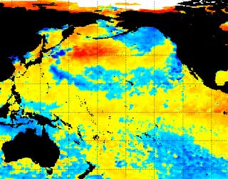 NOAA satellite image of El Nino