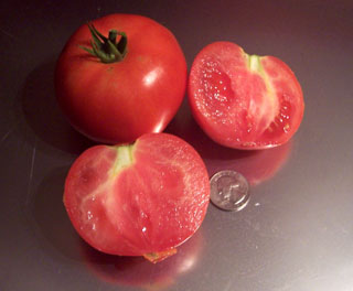 Goose Creek Tomato