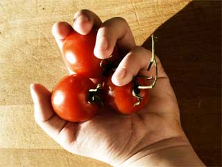 Hand with tomatoes