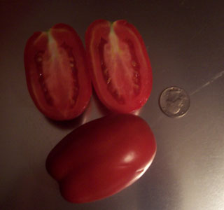 Health Kick or Healthy Choice Tomato