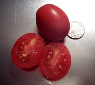 Thai Pink Tomato
